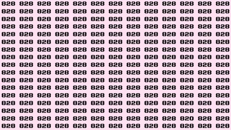 Visual Test: If you have 50/50 Vision Find the Number 820 among 828 in 15 Secs