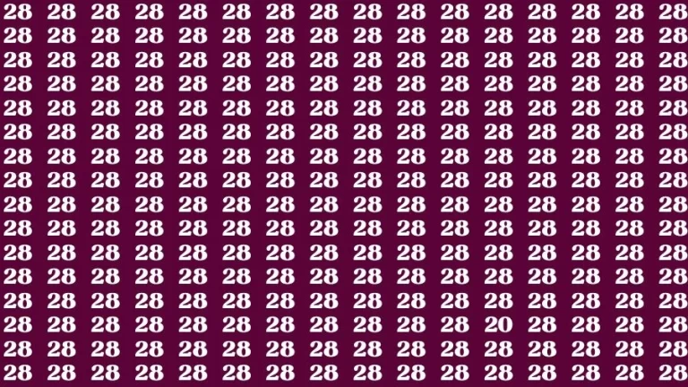 Observation Brain Challenge: If you have Eagle Eyes Find the number 20 among 28 in 12 Secs