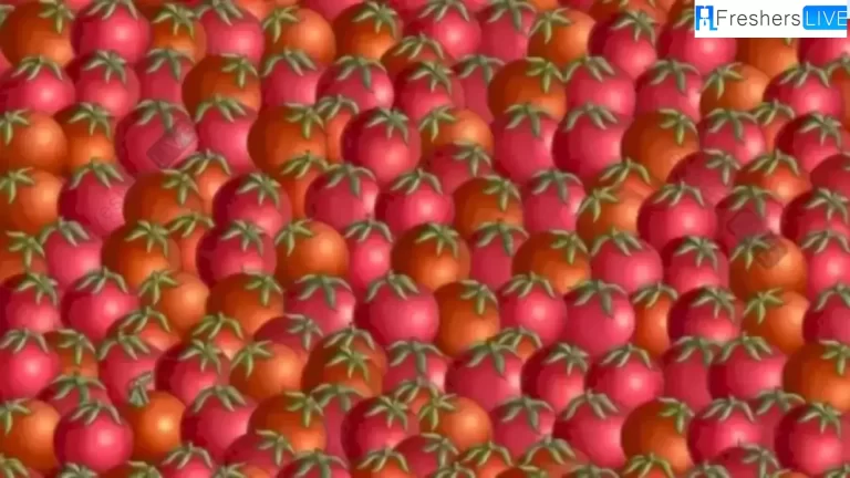 90% People Will Fail To Spot The Christmas Ball Among The Tomatoes In This Image. Do You Want To Try?