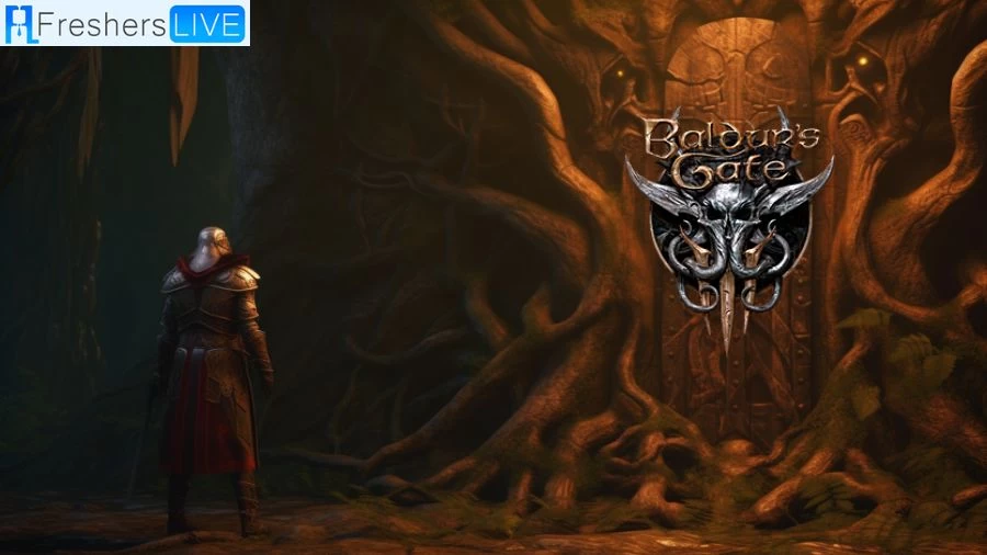 Baldurs Gate 3 Warlock Build Guide: What is Warlock in Baldurs Gate 3?