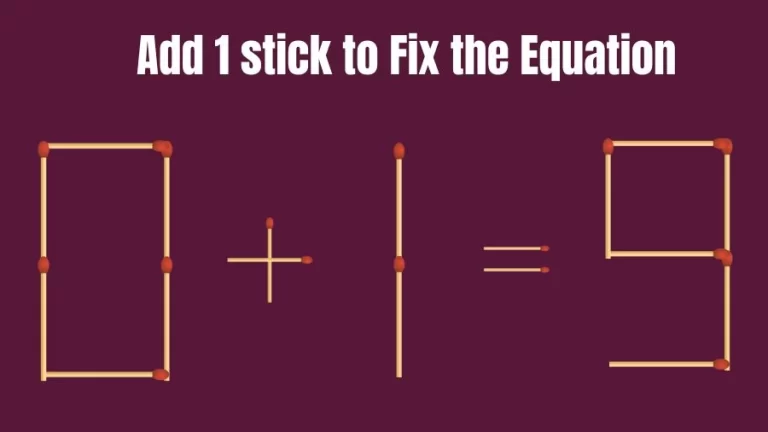 Brain Teaser: 0+1=9 Add 1 Stick To Fix The Equation