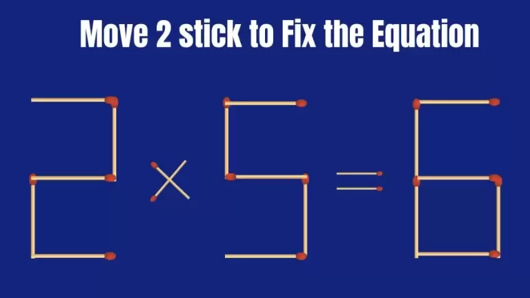 Brain Teaser: 2x5=6 Move 2 Sticks To Fix The Equation