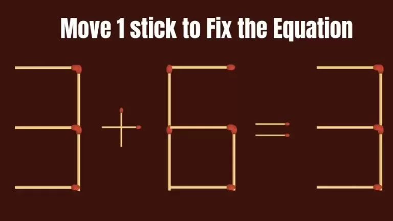 Brain Teaser: 3+6=3 Fix The Equation By Moving 1 Stick