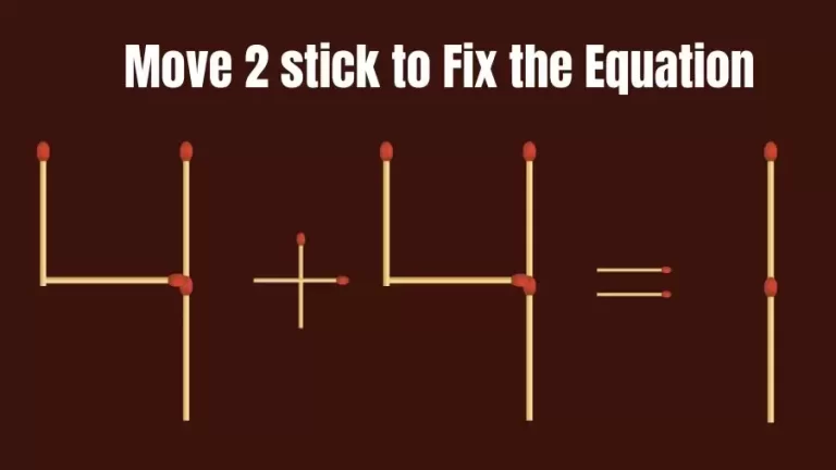Brain Teaser: 4+4=1 Move 2 Sticks To Fix The Equation