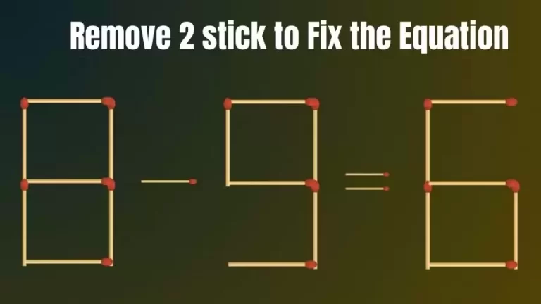 Brain Teaser: 8-9=6 Remove 2 Sticks To Fix The Equation