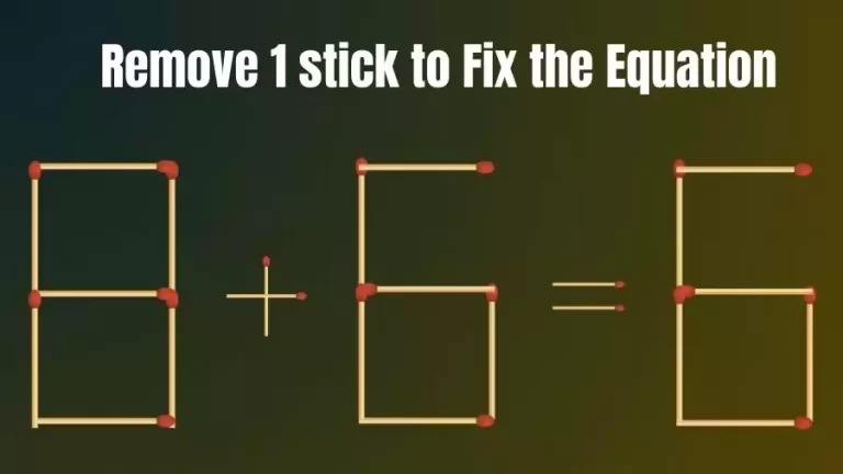Brain Teaser: 8+6=6 Remove 1 Stick To Fix The Equation