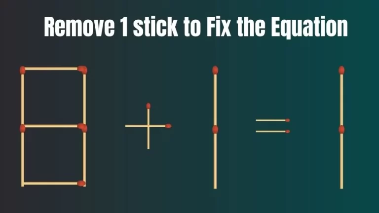 Brain Teaser IQ Challenge: 8+1=1 Remove 1 Matchstick to Fix the Equation