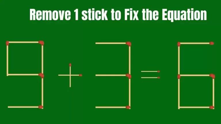 Brain Teaser IQ Challenge: 9+3=6 Remove 1 Matchstick to Fix the Equation