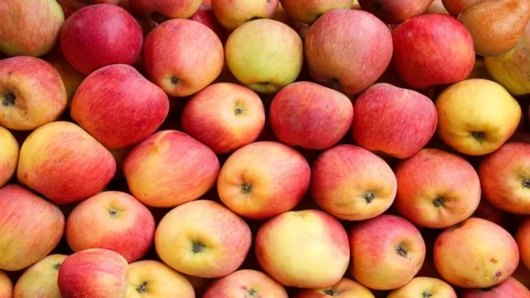 Brain Test: Within 26 Seconds, Can You Locate The Pear Among These Apples?