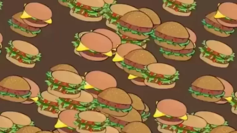 Can You Find the Sandwich Among These Burgers? Explanation and Solution to the Optical Illusion