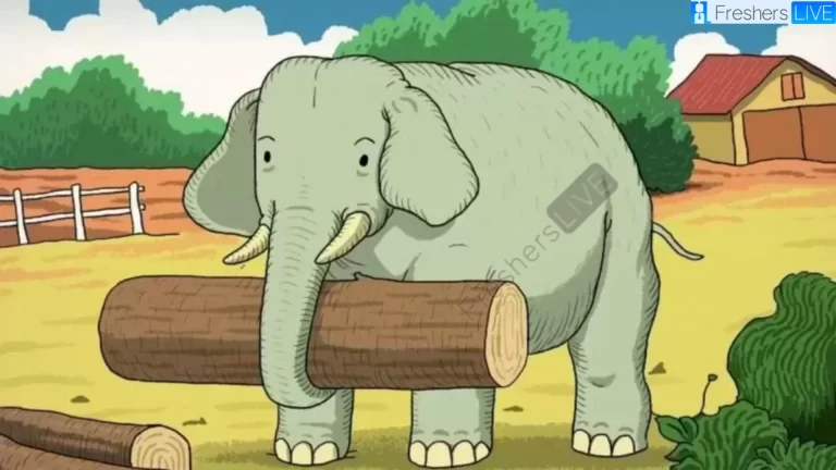 Can You Help the Elephant to Find his Friend in 10 Seconds?