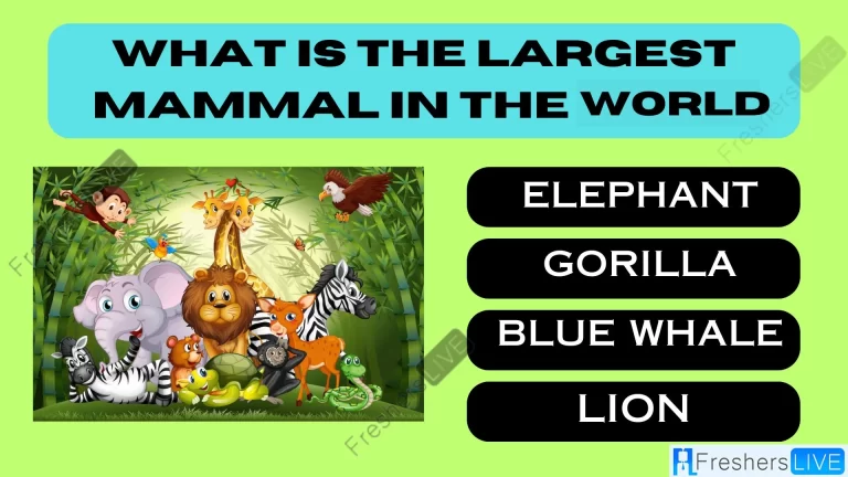 Master of the Oceans: Can You Identify the Largest Mammal on Earth?