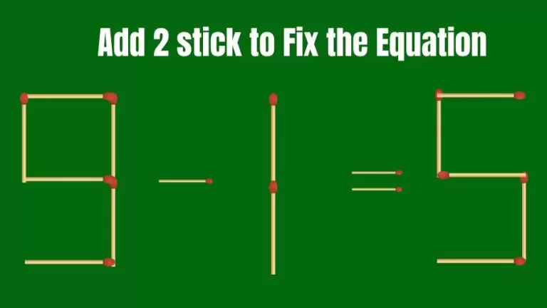 Matchstick Riddle: 9-1=5 Fix The Equation By Adding 2 Sticks
