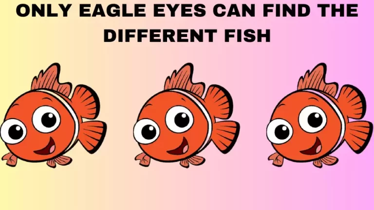 Observation Brain Challenge: Only Eagle Eyes Can Find the Different Fish in 10 Secs