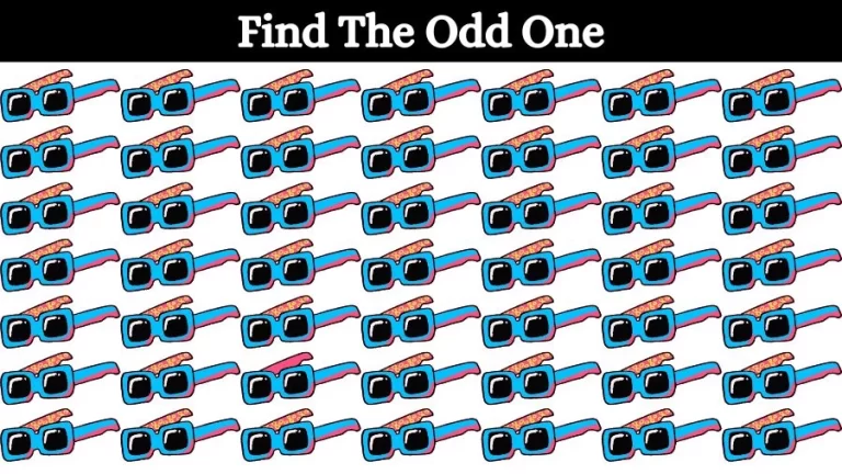 Observation Visual Test: Can you spot the Odd One Out in this Image? Picture Puzzle
