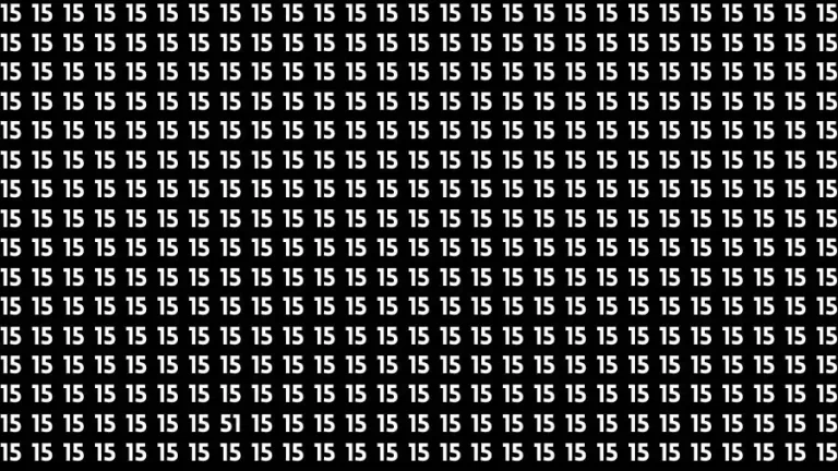 Only 4k Vision People can Find the the Number 51 among 15 in 14 Secs