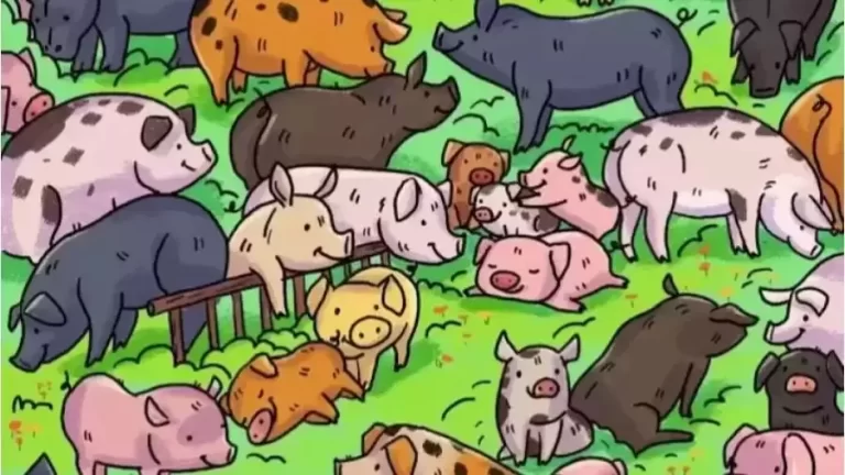 Optical Illusion: Only Hawk Eyes Can Find The Hippopotamus among the Pig in 14 Seconds?