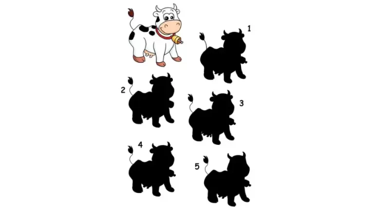 Brain Teaser Picture Puzzle: Only Sharp Eyes Can Find the Correct Shadow of the Cow in Less Than 10 Seconds