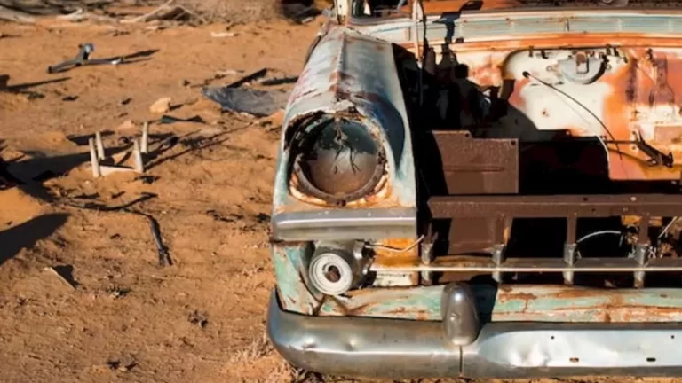 Finding Snail Optical Illusion: Can You Find the Snail in this Image Of A Rusted Car?