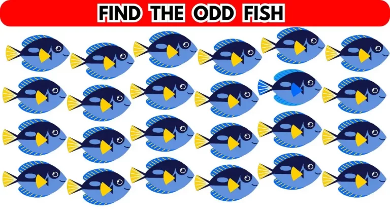 Brain Teaser: Find the Odd Fish in 10 Seconds