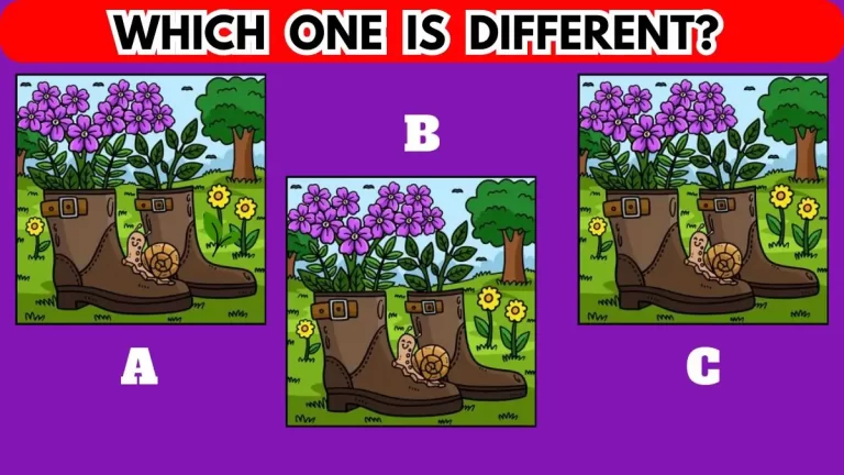 Brain Teaser: Only 2% People Can Spot the Different One within 10 Secs